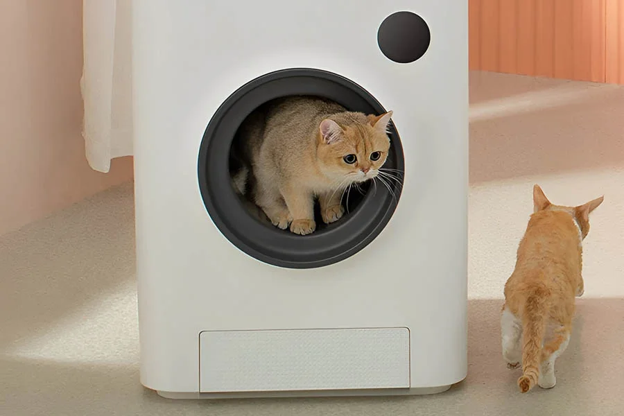 pet safe scoop free litter box