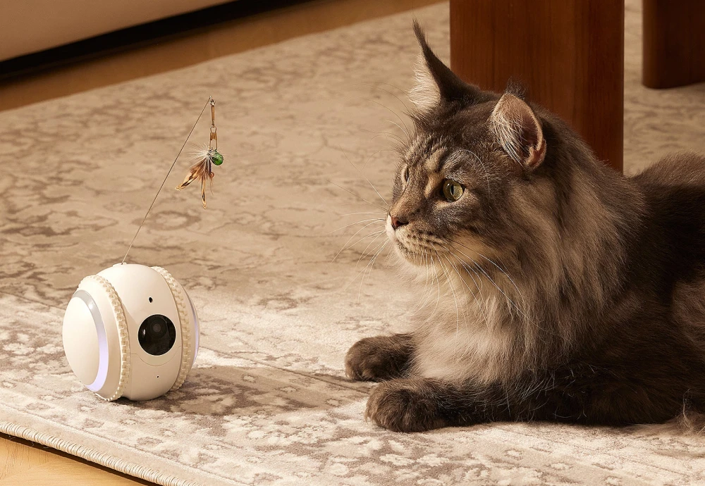 automatic pet feeder with camera