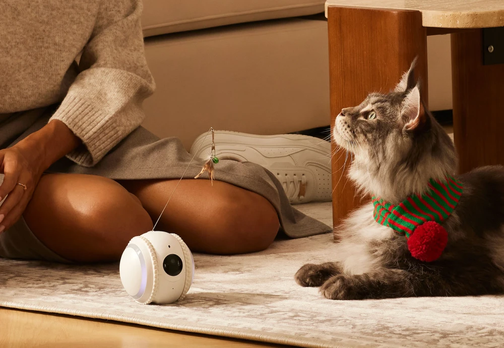 interactive pet camera for cats