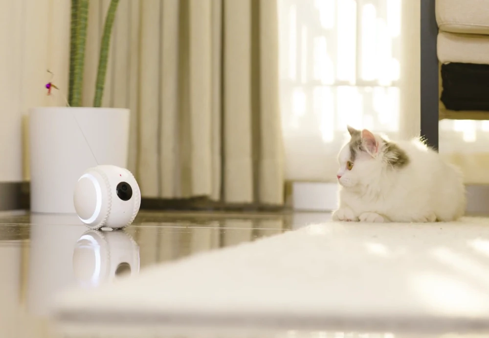 automatic pet feeder with camera