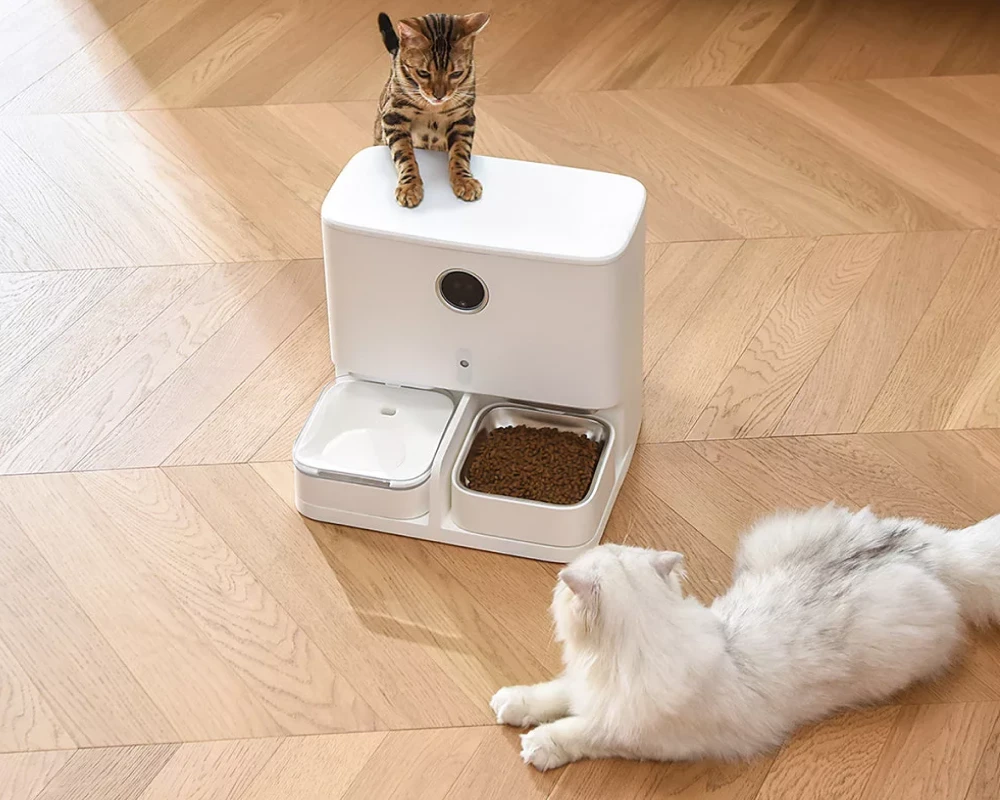 best automatic pet feeder for cats