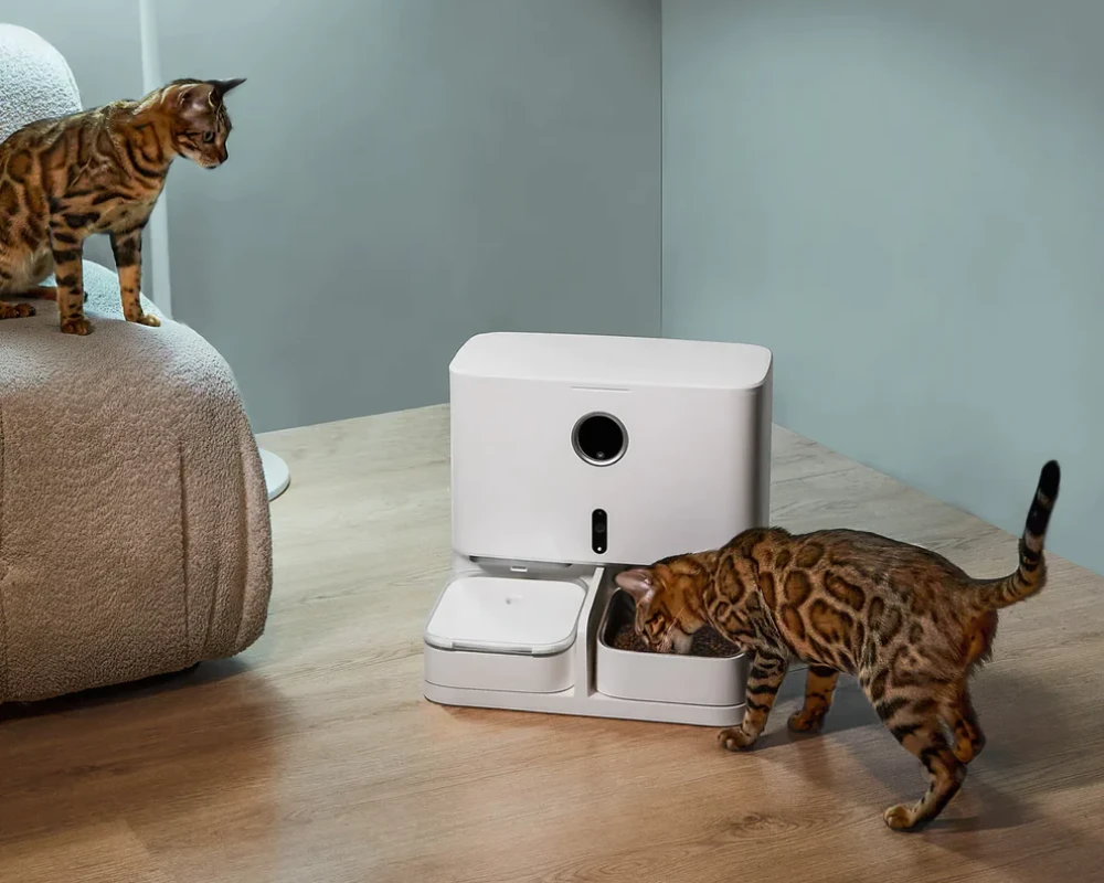 automatic wifi pet feeder